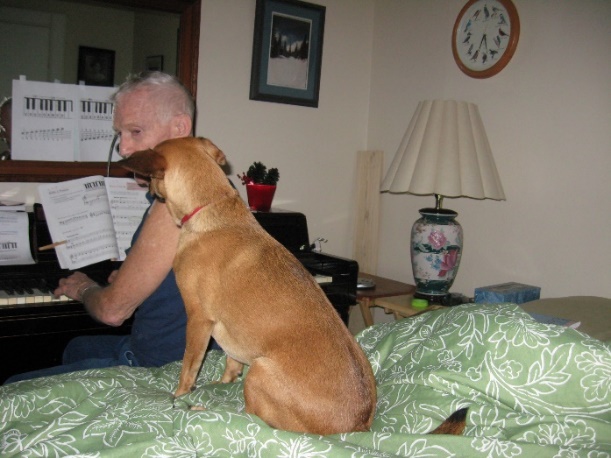 A large brown dog sitting in a room Description automatically generated